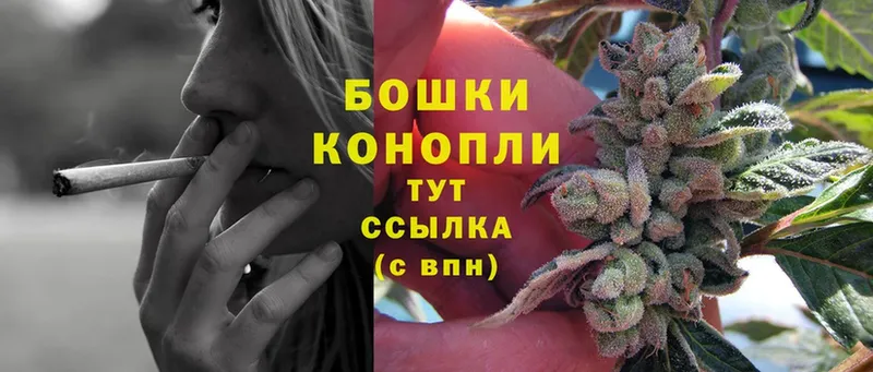 купить   Заполярный  Шишки марихуана White Widow 